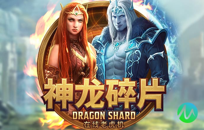 澳门正版资料大全使用教程